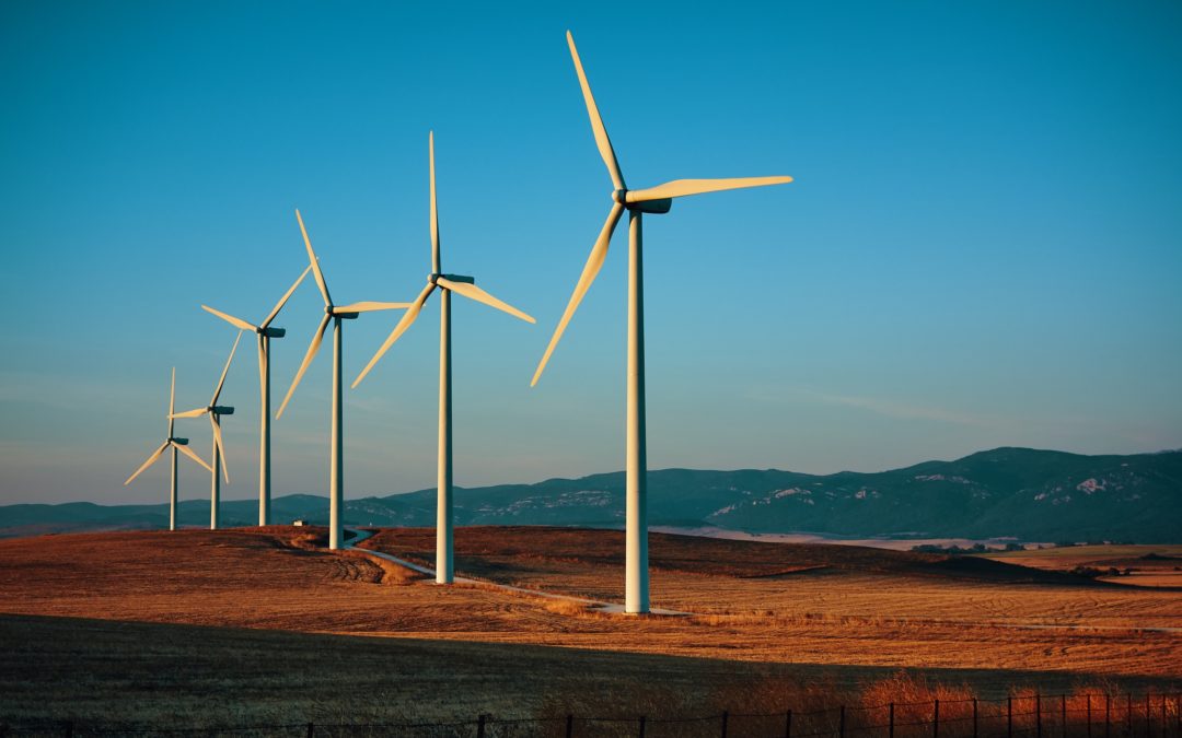 Announcing Environmental and Natural Resources Law Cases